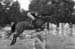 562hiq